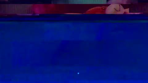 Snapshot of jooshi1981 chatting on 02/12/26, 05:13 jooshi1981 online show from 02/12/26, 05:13