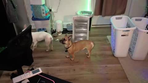 Josef online show from 04/17/26, 05:21