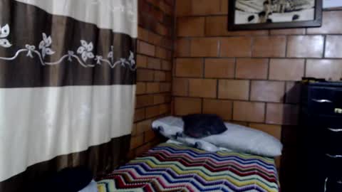 Snapshot of joseph_fit chatting on 10/22/25, 03:07 joseph online show from 10/22/25, 03:07