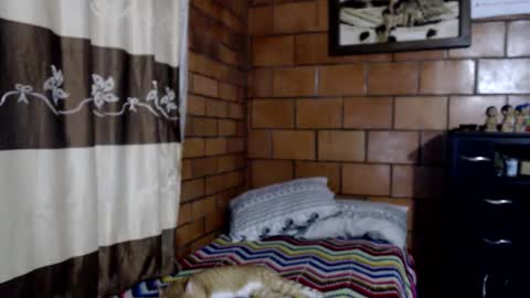 Snapshot of joseph_fit chatting on 11/10/25, 03:49 joseph online show from 11/10/25, 03:49