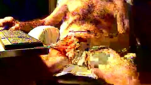 Snapshot of joystik4u60 chatting on 11/02/25, 01:35 joystik4u60 online show from 11/02/25, 01:35