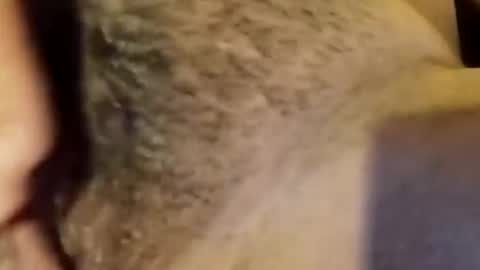 jsjsjdjsjjdx online show from 01/09/26, 03:53