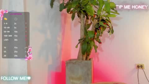 Juan Miguel online show from 02/05/25, 09:46