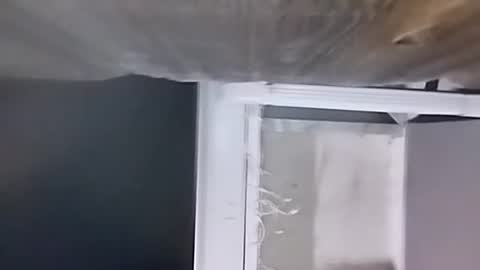 Snapshot of jugg3 chatting on 12/09/24, 02:34 Carlos online show from 12/09/24, 02:34