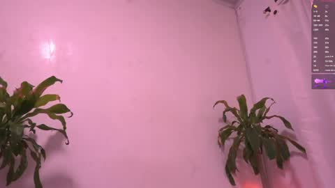 Snapshot of juice6abby9 chatting on 05/15/26, 03:02 Sisi online show from 05/15/26, 03:02