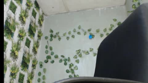 Mariagold online show from 02/18/25, 09:53