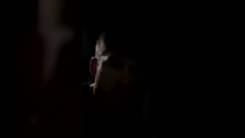 jul061007 online show from 03/15/26, 11:33