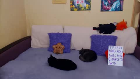 Jul online show from 11/04/25, 11:20