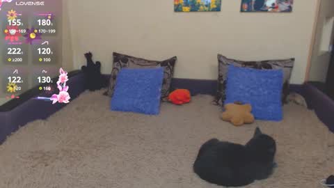 Jul online show from 02/21/26, 02:40