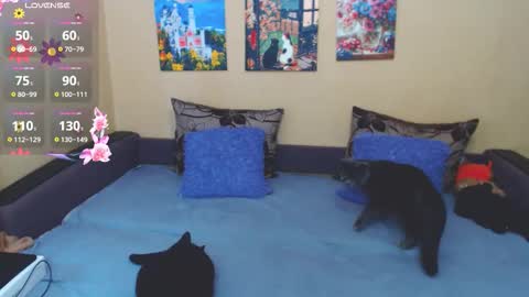 Jul online show from 03/04/26, 09:04