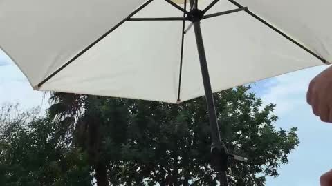 Snapshot of julie_joyride chatting on 09/19/25, 01:45 Julie and TheAverageGuy aka Max online show from 09/19/25, 01:45