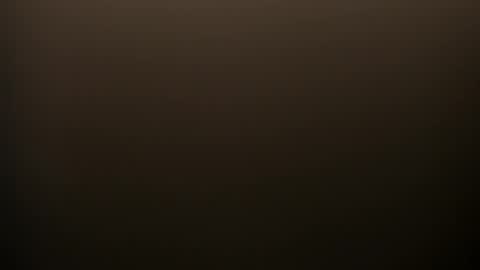     online show from 02/14/26, 09:00