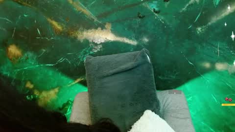    online show from 05/29/26, 08:45