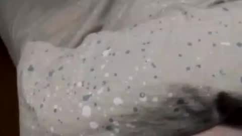 Asian office boy online show from 01/06/25, 02:36