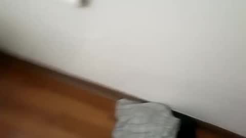 Snapshot of junior69king chatting on 01/01/25, 06:15 manolito online show from 01/01/25, 06:15