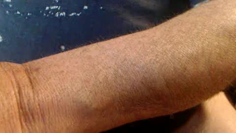 Snapshot of junjor67 chatting on 02/16/25, 04:53 Werner online show from 02/16/25, 04:53