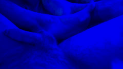 Yuri online show from 01/14/25, 07:59