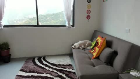 Snapshot of just_katiex chatting on 03/07/25, 02:34 Sofia online show from 03/07/25, 02:34