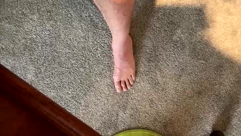 justanudedude online show from 12/05/24, 01:38