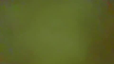 Snapshot of justbuff4 chatting on 02/25/26, 02:37 McKeefer online show from 02/25/26, 02:37