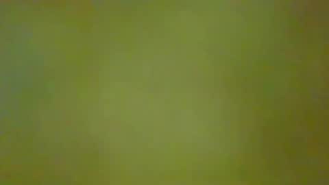 McKeefer online show from 06/05/26, 06:24