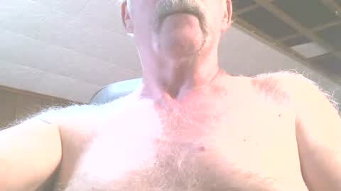 justdon online show from 06/15/26, 02:41