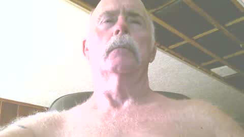 justdon online show from 07/17/26, 03:29