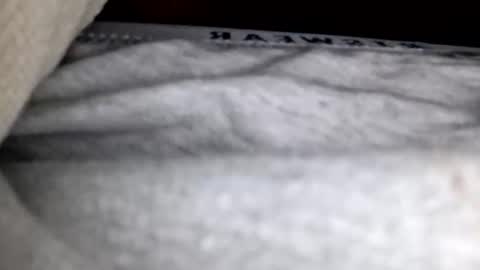 justingodla20 online show from 12/01/25, 02:00