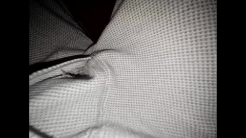 Snapshot of justswack chatting on 12/08/24, 06:54 justswack online show from 12/08/24, 06:54