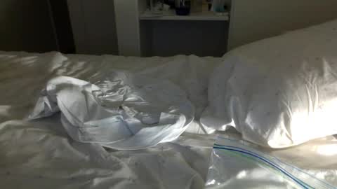 Snapshot of jwill10000 chatting on 01/23/25, 11:37 J and Sugar snap pea online show from 01/23/25, 11:37