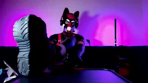 Snapshot of k9_goodboy chatting on 03/01/26, 07:05 Alex online show from 03/01/26, 07:05