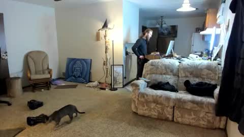 Kaiku77 online show from 01/06/26, 08:56