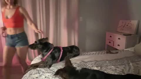 Kailee Smile online show from 02/12/25, 04:54