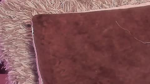 KaliMonroe online show from 12/29/24, 05:22