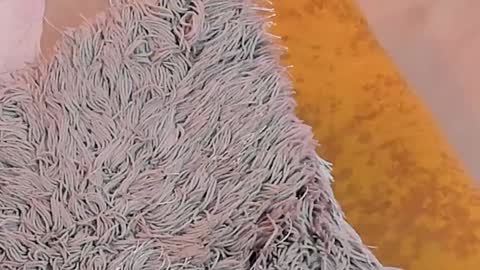 KaliMonroe online show from 01/26/25, 05:13