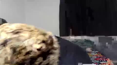 kammy   y   camila online show from 04/09/26, 12:54