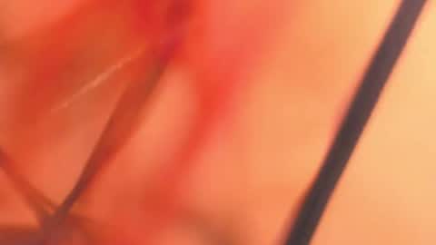 KarinaBelov  online show from 02/18/25, 08:16