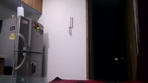 Karla Gonzaless online show from 11/07/25, 07:52