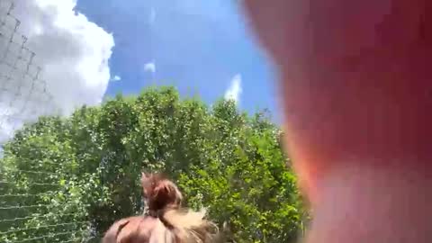 karmadewit1980 online show from 04/17/26, 05:38