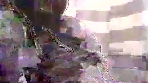 Snapshot of karnyx3 chatting on 01/01/25, 10:54 Karlos Montoya online show from 01/01/25, 10:54