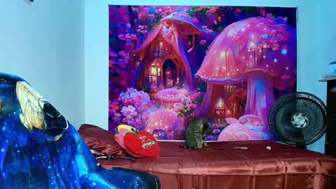    online show from 11/10/25, 10:14