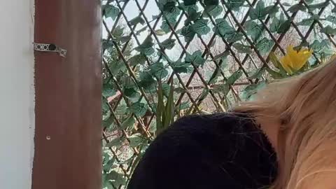 karoline121 online show from 03/17/26, 09:12