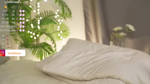 Karol 22 y.o online show from 02/13/25, 01:48