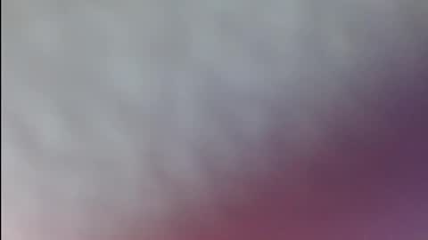 karol online show from 04/07/26, 05:46