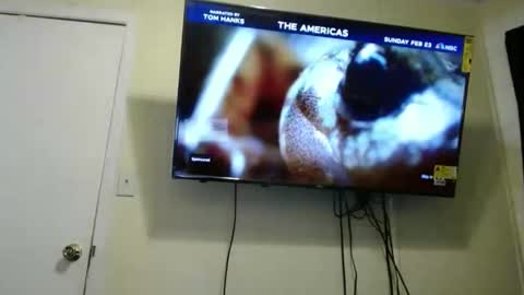 Snapshot of kashmoniy chatting on 02/11/25, 07:44 kashmoniy online show from 02/11/25, 07:44