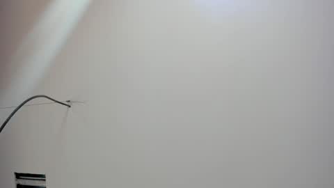 Kate  online show from 02/18/26, 12:01