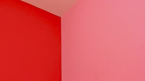 Kate  online show from 02/22/26, 11:31