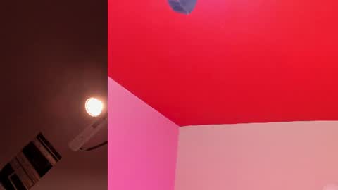 Kate  online show from 07/17/26, 11:17