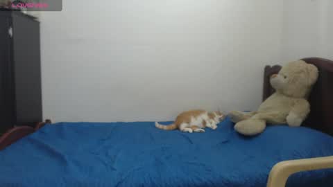 kate_leex online show from 06/17/26, 06:53