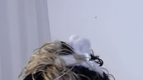 Help me with rate thanks  online show from 12/11/24, 03:35